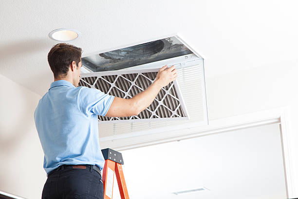 Best Air quality test  in Roxana, IL